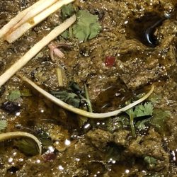Chaudhry's Buffet Restaurant - Saag Paneer