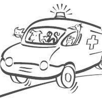 Ark Veterinary Surgery - Veterinarians Near Me - Sheffield, DBY