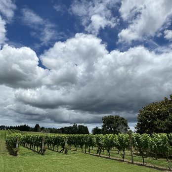 Soljans Estate Winery & Cafe - Cafes Near Me - Kumeu, OTA Soljans Estate Winery & Cafe - Cafes Near Me - Kumeu, OTA