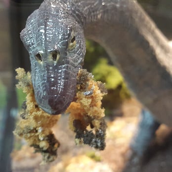 Creation and Earth History Museum - Museums Near Me - Santee, California