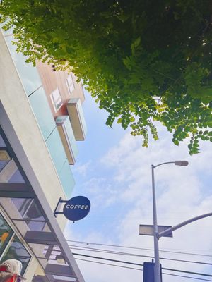 The Little Marionette by null