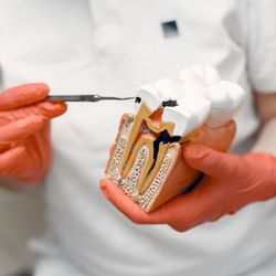 El Centro Dental