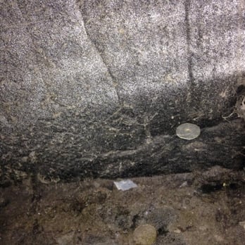 The Harrison - Mold in our air intake vent - Apartments Near Me - Harrisonburg, Virginia The Harrison - Mold in our air intake vent - Apartments Near Me - Harrisonburg, Virginia