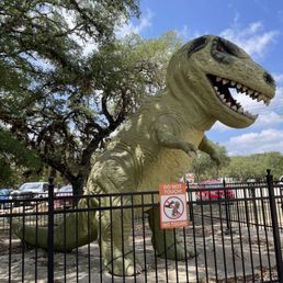 Rex Rex