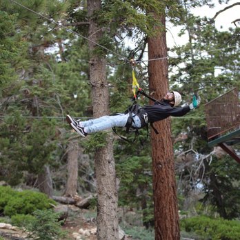 Action Tours - Tours Near Me - Big Bear Lake, California Action Tours - Tours Near Me - Big Bear Lake, California