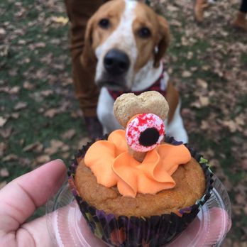 Warwick Applefest - Dog treat cupcake - Festivals Near Me - Warwick, New York