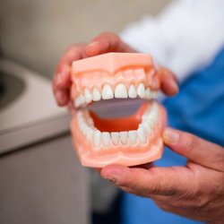Sparta Dental Associates