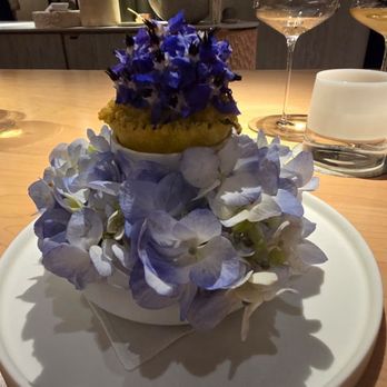 Somni - Spanish Near Me - West Hollywood, California Somni - Spanish Near Me - West Hollywood, California