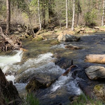Willow Creek Trail - Willow Creek trail 04.15.22|Friday (Bass Lake, CA) - Hiking Near Me