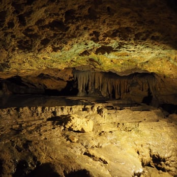 Florida Caverns State Park - Parks Near Me - Marianna, Florida