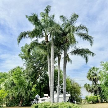 Legatum Property Professionals - Tree Services Near Me - Valrico, Florida Legatum Property Professionals - Tree Services Near Me - Valrico, Florida