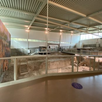 Waco Mammoth National Monument - Museums Near Me - Waco, Texas