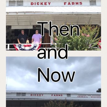 Dickey Farms - Ice Cream & Frozen Yogurt Near Me - Musella, Georgia Dickey Farms - Ice Cream & Frozen Yogurt Near Me - Musella, Georgia