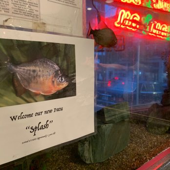 Kau Kau Barbeque - Fish at the front of the store - Barbeque Near Me - Seattle, Washington Kau Kau Barbeque - Fish at the front of the store - Barbeque Near Me - Seattle, Washington