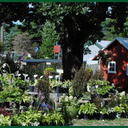Christen Farm Nursery - Garden