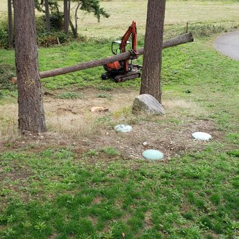 Shepherd's Tree Service and Excavation - Tree Services Near Me Shepherd's Tree Service and Excavation - Tree Services Near Me