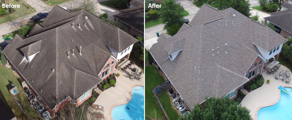 Slide of Slime Busters