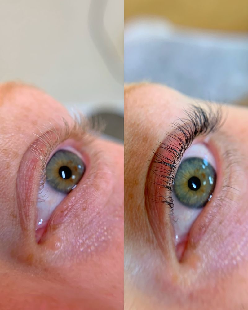 Lash and Brow Bar Logo