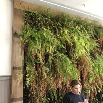 Green Engine Coffee - Coffee & Tea Near Me - Haverford, Pennsylvania