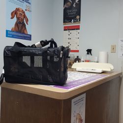 Stafford Veterinary Clinic - My kittens waiting for their first vet appointment.
