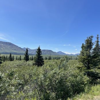 Denali National Park - Hiking Near Me - Mckinley Park, Alaska