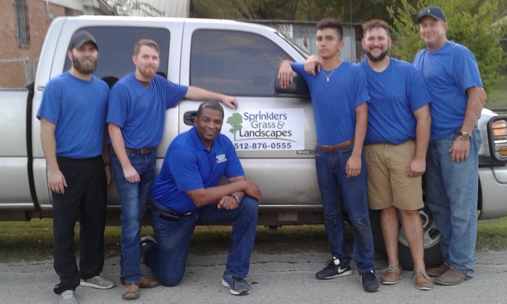 SPRINKLERS GRASS & LANDSCAPES Updated September 2024 37 Photos