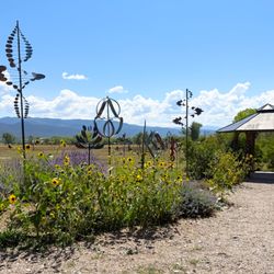 Farmhouse Cafe and Bakery - And lots of those tiny sunflowers.