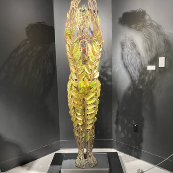 Imagine Museum - Art Museums Near Me - Saint Petersburg, Florida Imagine Museum - Art Museums Near Me - Saint Petersburg, Florida