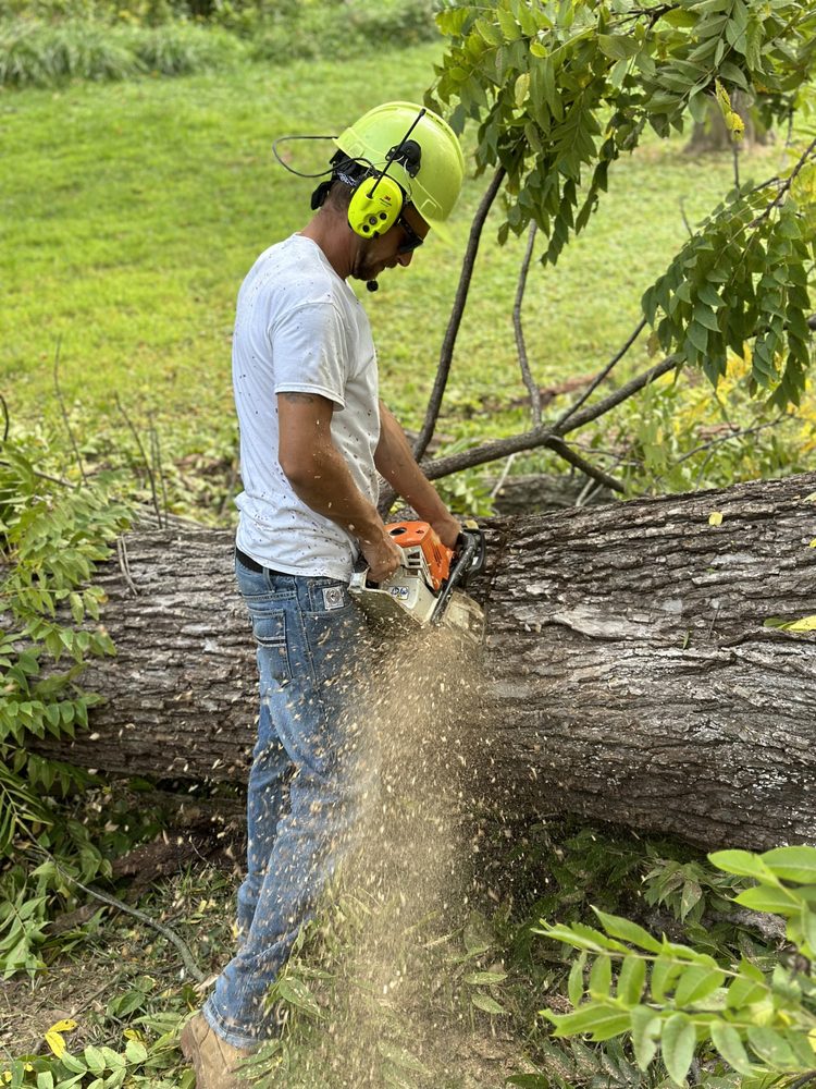 STL Tree Services - tree service in Saint Charles, MO
