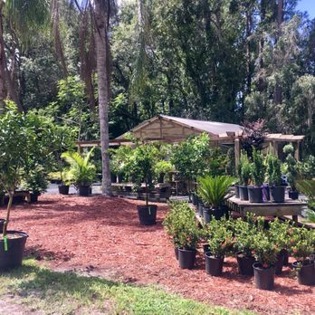 Bartram Trail Nursery - Nurseries & Gardening Near Me - Fruit Cove, Florida