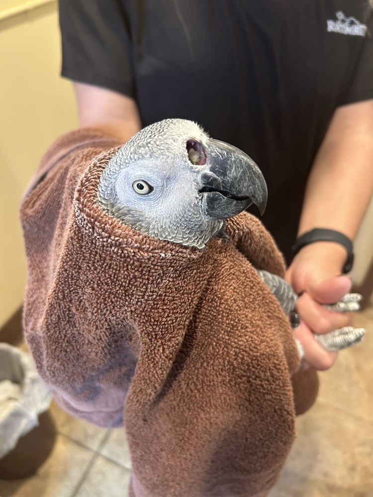 Geneva Oaks Animal Hospital Image