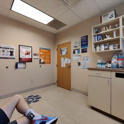 Island Pet Hospital - Exam Room