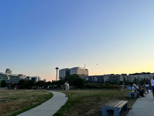 Lake Union Park by null