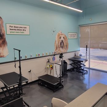 Pet Supplies Plus North Naperville - Pet Stores Near Me - Naperville, Illinois Pet Supplies Plus North Naperville - Pet Stores Near Me - Naperville, Illinois