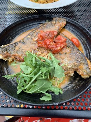 Serafina Back Bay by null