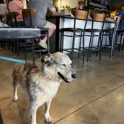 Lost Friend Brewing Company - Lucee