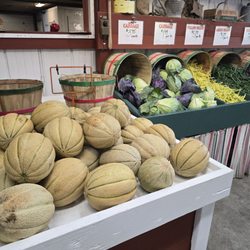 Witte's Vegetable Farm - Witte's Vegetable Farm in Cedarburg, Wisconsin.