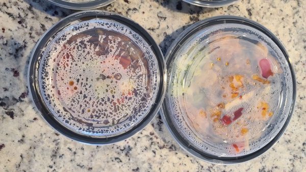 Hoong's Palace by null