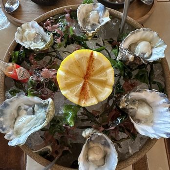 Casa Neos - Oysters - Mediterranean Near Me - Miami, Florida