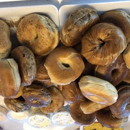 Look at the size of these monsters Look at the size of these monsters
