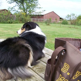 My-T-Fine Kennels - Pet Sitting Near Me - Delaware, Ohio My-T-Fine Kennels - Pet Sitting Near Me - Delaware, Ohio