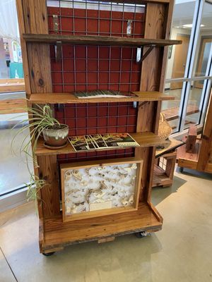 Anita B. Gorman Conservation Discovery Center by null