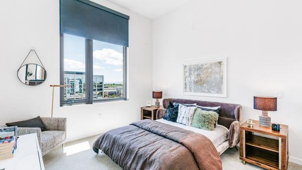 St Paul Collection by null