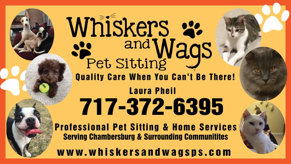 WHISKERS AND WAGS PET SITTING Updated October 2024 11 Photos