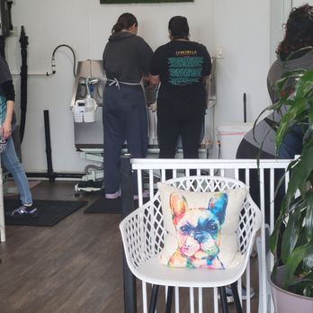 Selfie Dog Wash - A brief look inside - Pet Groomers Near Me - Bonita, California Selfie Dog Wash - A brief look inside - Pet Groomers Near Me - Bonita, California