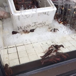 Crawfish so fresh they're trying to escape Crawfish so fresh they're trying to escape