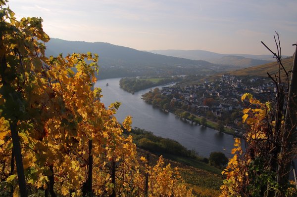 Burg Landshut by null