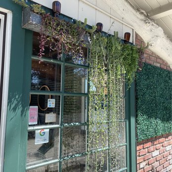 Dana Point Nursery - Nurseries & Gardening Near Me - Dana Point, California Dana Point Nursery - Nurseries & Gardening Near Me - Dana Point, California