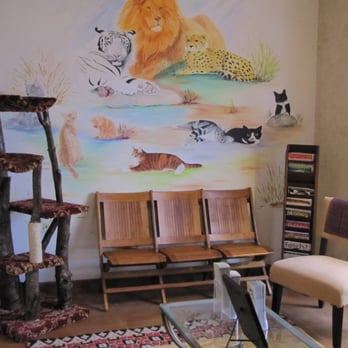 Fancy Paws Cat Clinic - Our waiting room - Veterinarians Near Me - Ashburn, Virginia Fancy Paws Cat Clinic - Our waiting room - Veterinarians Near Me - Ashburn, Virginia
