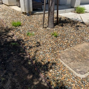 Nunez concrete - Closer look at the rocks. We ordered River Rock 3/4 from Stoneyard Masonry in Suisun. Delivered to our house. - Masonry/Concrete Near Me